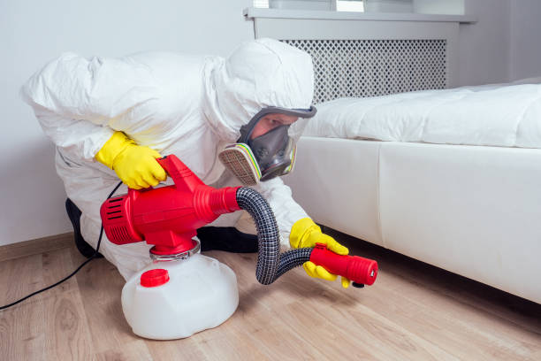 Best Bed Bug Extermination  in Springdale, PA